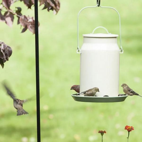 Milk Pail Feeder