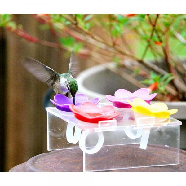 Hummingbird Ring Feeder Starter Kit