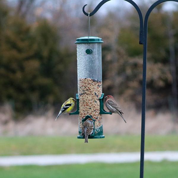 Seed Tube Feeder