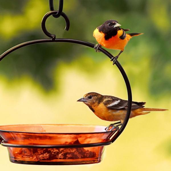 Hanging Bowl-Bird Bath or Feeder 9.75"