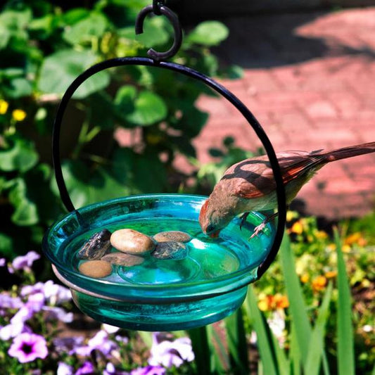 Hanging Bowl-Bird Bath or Feeder 9.75"