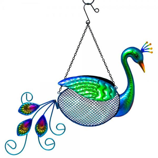 Peacock Mesh Feeder