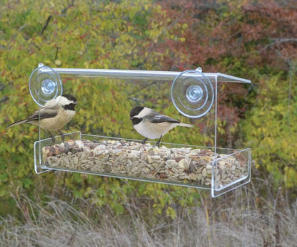 Clear Window Feeder