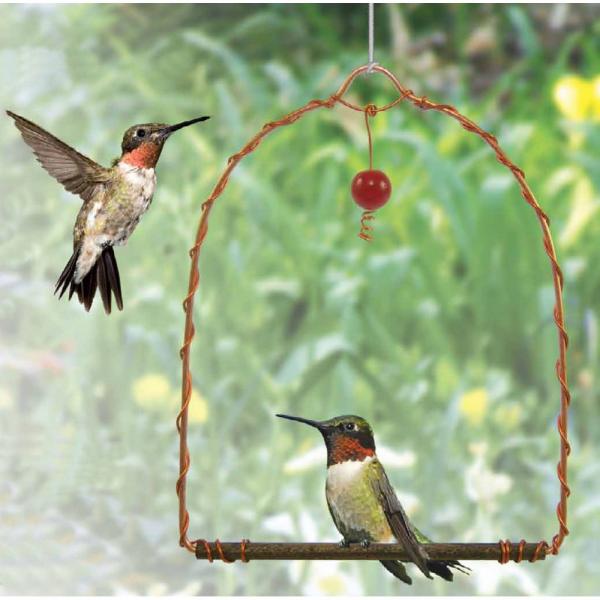 Hummingbird Swing