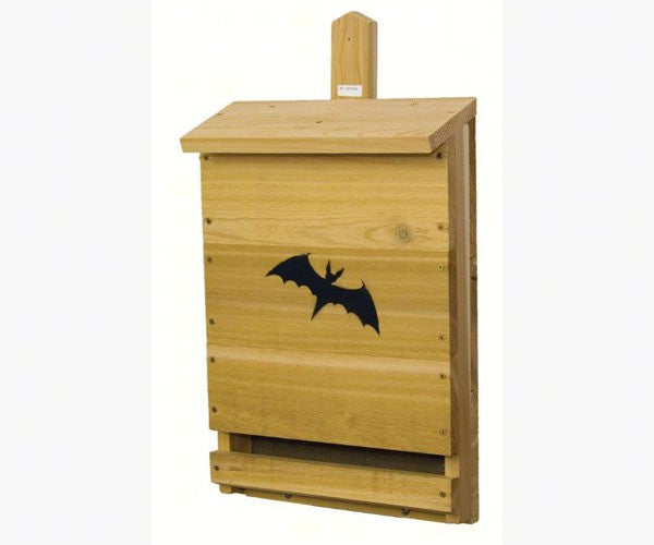 Bat House Single Cell